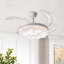 Ceiling Fan with LED Lights