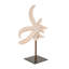Sculpture Diantha en forme d'étoile de mer texturée rose avec support en cuivre