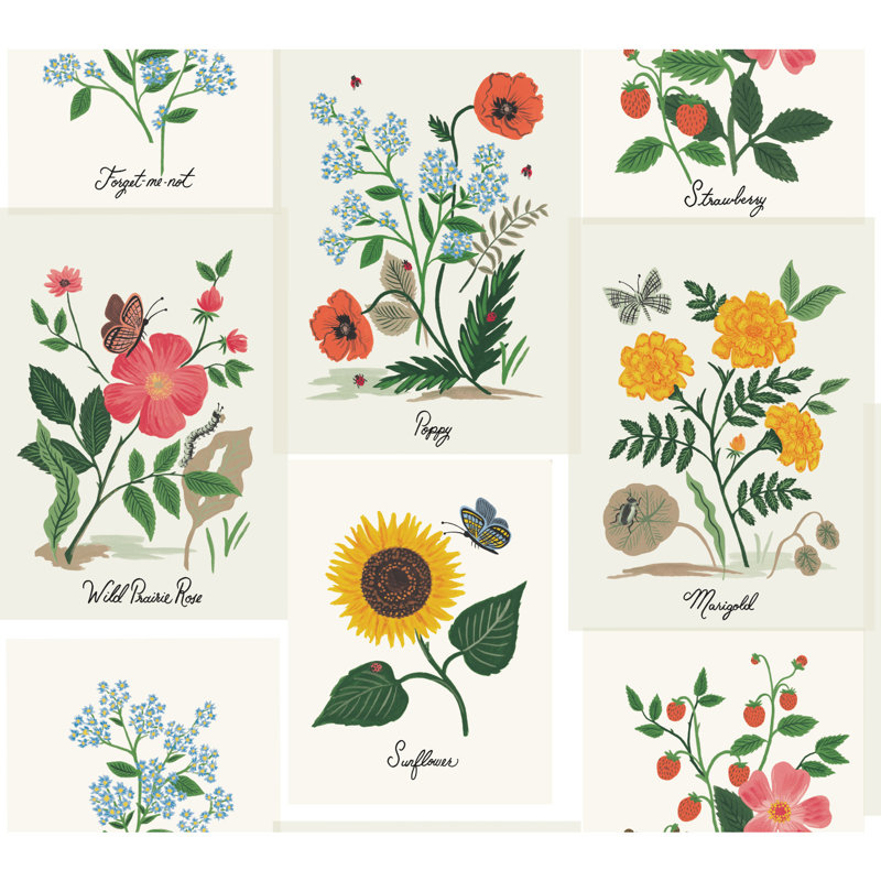 Rouleau de papier peint lisse L 27 po x l 27 po Botanical Prints, Blanc / rose