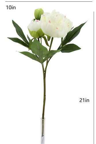 Artificial Cream Peony Stems