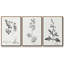 Botanical Imprint I 3 pièces-97757609-97757610
