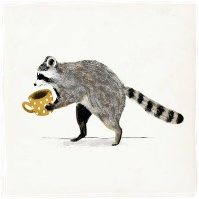 Rascally Raccoon III 1 Piece Wrapped Canvas Wall Art
