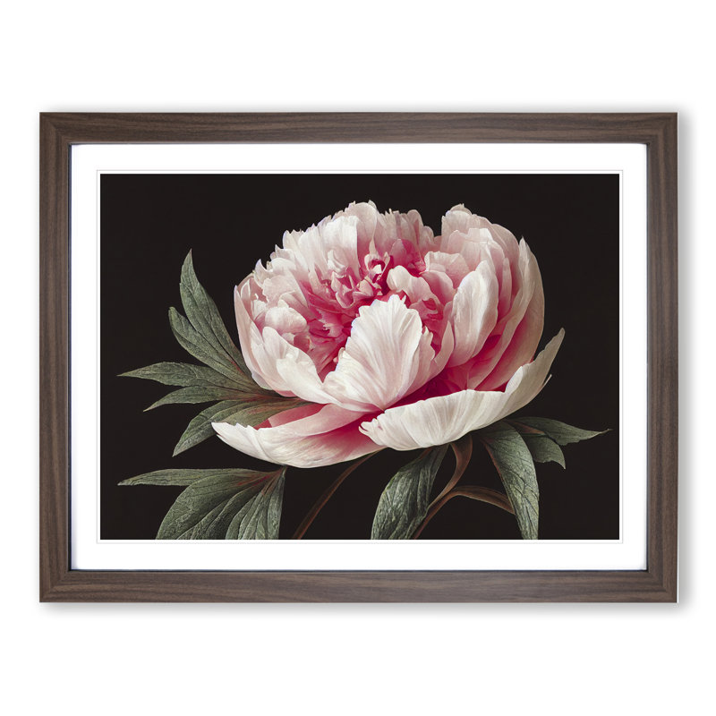 Grand Peony Flower - Print, 25cm H x 34cm W, Walnut