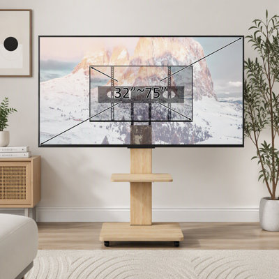 Mobile TV Cart with Lockable Wheels and Adjustable Mount