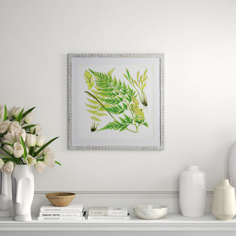 Brilliant Fern II Print
