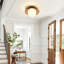 Rattan Wallchiere