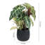 Artificial Plant