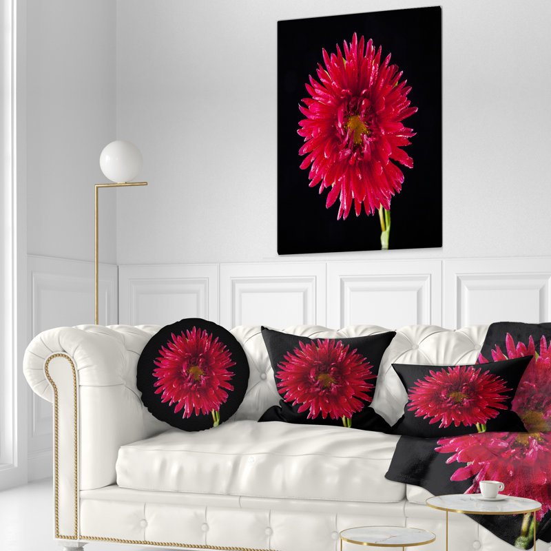Chrysanthème fleur sur fond noir - coussin à imprimé floral