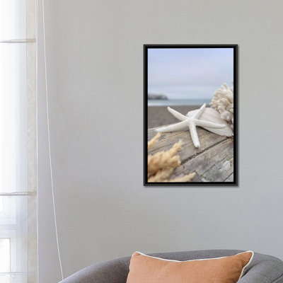 " Crescent Beach Shells XIII " by Alan Blaustein