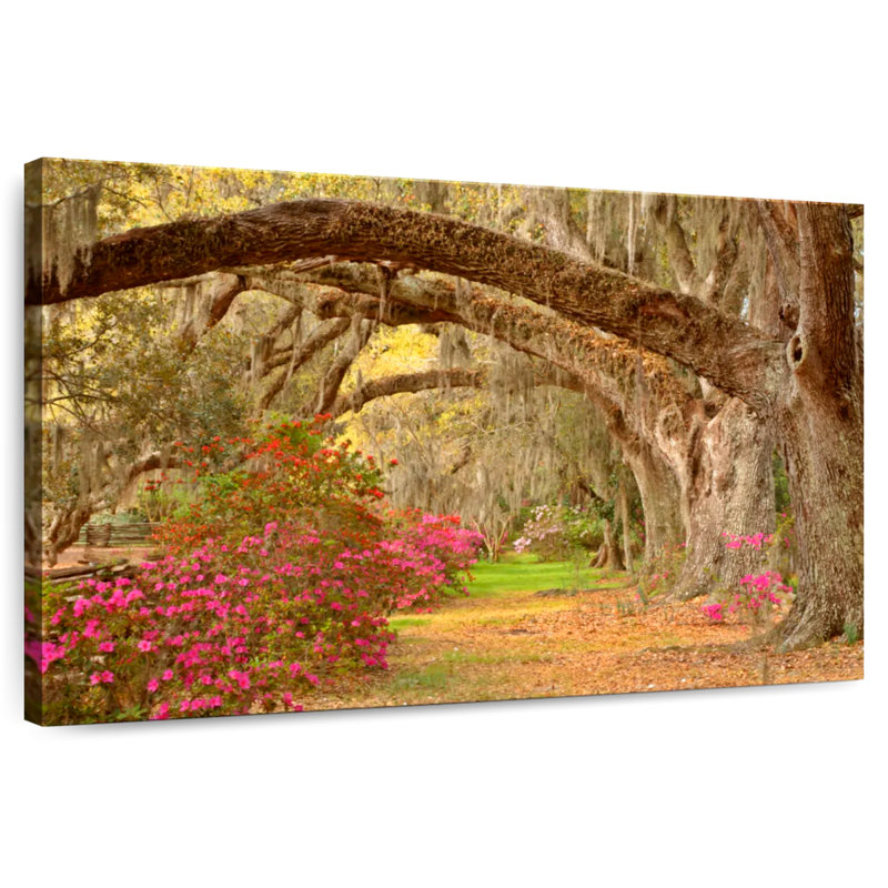 Harnek Magnolia Gardens Charleston, H 20 po x l 30 po