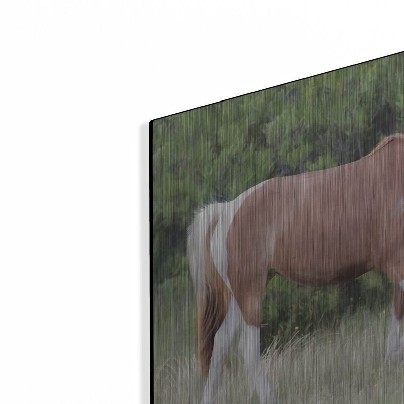 «Assateague Horse» par Lori Deiter, H 12 po x l 16 po
