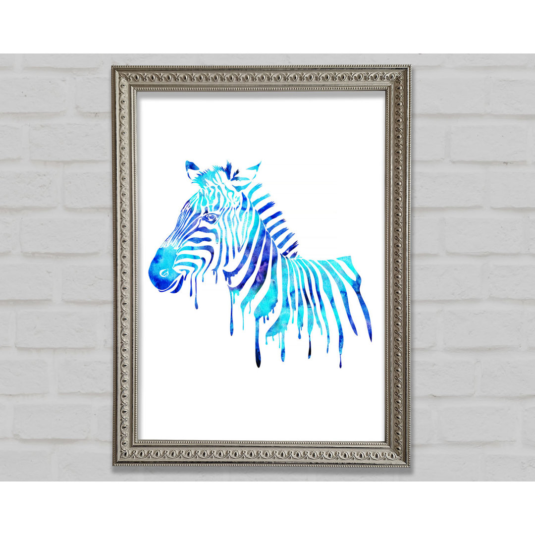 Blaues Zebra Gerahmter Druck