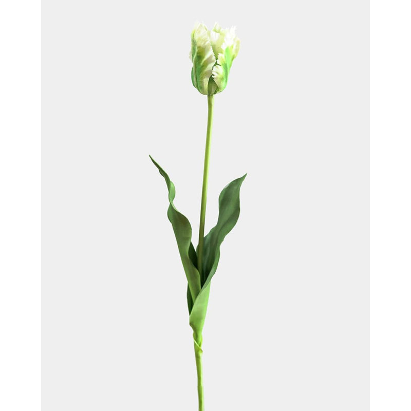 «Real Touch» perroquet blanc 27 po, White