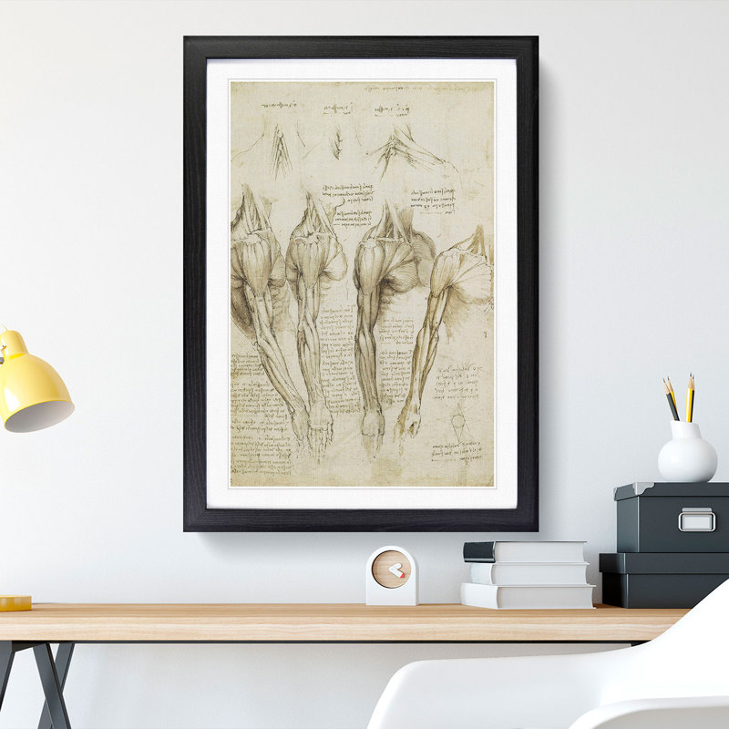 Human Anatomy Vol.8 by Leonardo Da Vinci - Picture Frame Drawing, Black Framed, 65cm H x 48cm W x 2cm D