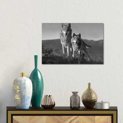 Gray Wolf Pair Standing, North America by Tim Fitzharris - Gallery-Wrapped Canvas Giclée on Canvas