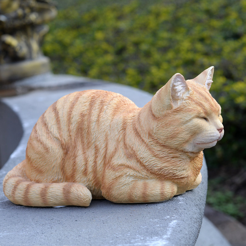 Chat tigré orange au repos, Orange