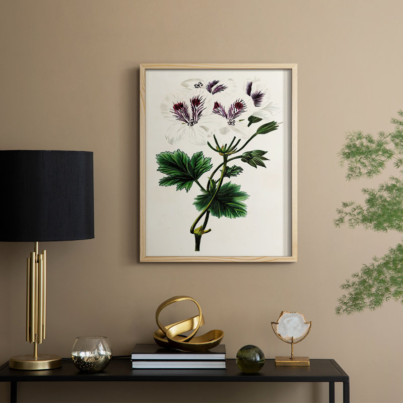 AntiqueFloralFolioIX Framed Print - Solid Wood