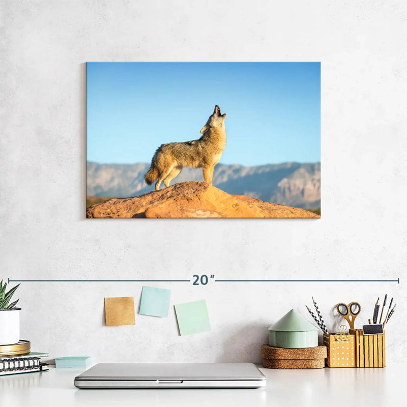 Brampt Howling Coyote, 8'' H x 12'' W