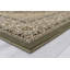 Oriental Area Rug in Green/Brown