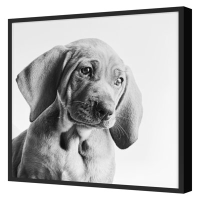 Puppy Eyes 1 Print by Pearson, Victoria