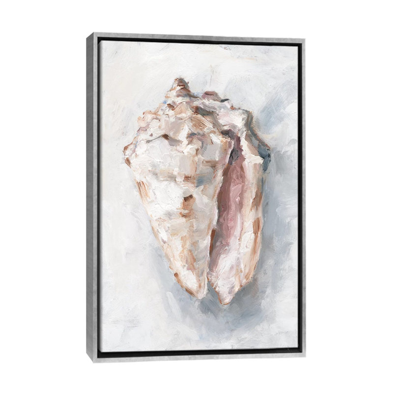 "White Shell Study II" par Ethan Harper, reproduction d’art, Pas de tapis, H 40 po x l 26 po x P 1,5 po