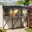 Catio, boîte de fenêtre pour animaux domestiques-1503072876