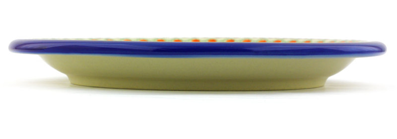 Stoneware Dinner Plate