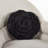Novelty Pillow Cover & Insert-1430420415-1380658614