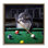 «Pool Shark» par Lucia Heffernan