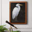 White Heron Portrait I, toile encadrée de qualité supérieure - prête à être accrochée-360671713