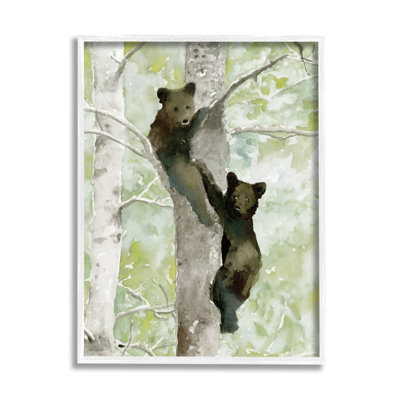 Bear Cubs Climbing Tree Nature - impression
