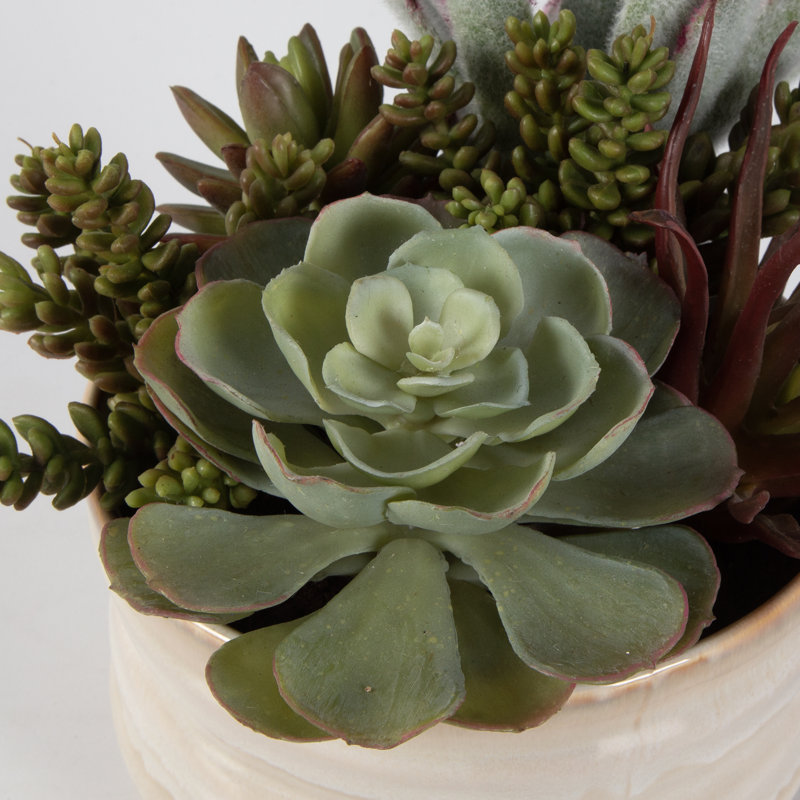 9'' Faux Succulent in Ceramic Pot