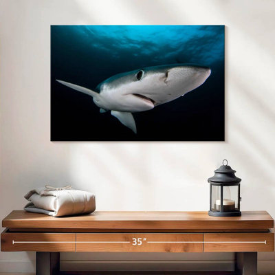 Requin bleu sous-marin Brampt