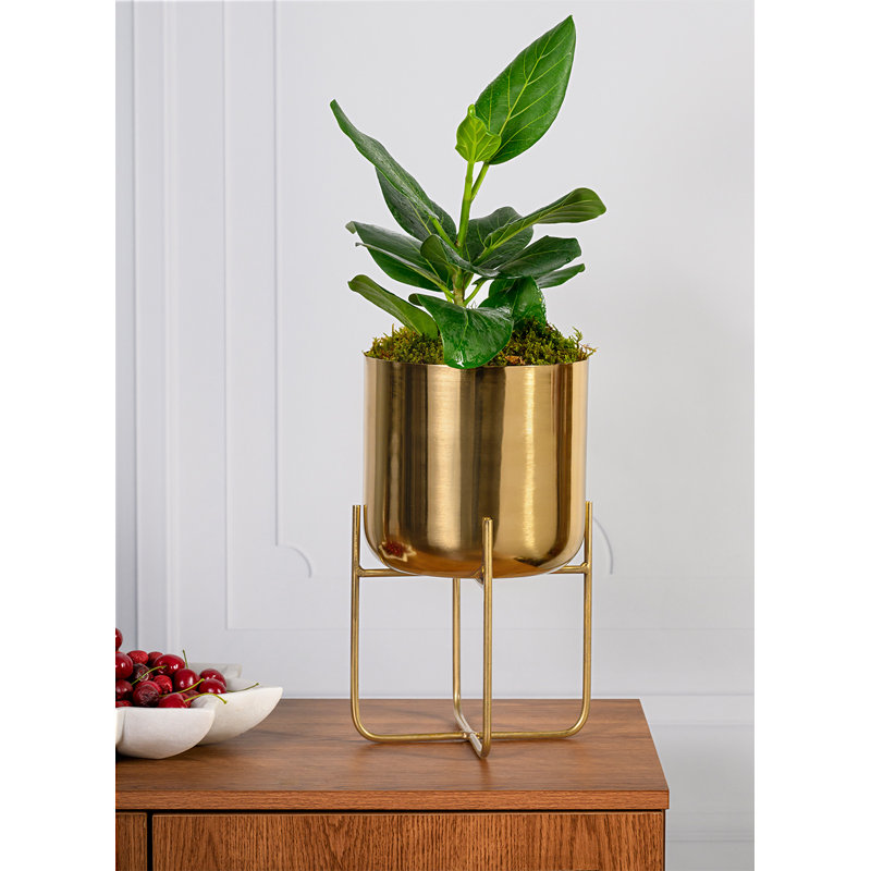 Aurelian Metal Pot Planter, 13" H x 7.25" W x 7.25" D