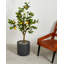 Pot à fleurs en résine Finnlie-851669767-851669764