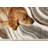 Devanee Cream Abstract Low-Pile Stain Resistant Rug-1552000941