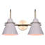 Salem 2-Light Dimmable Brass/Gray Vanity Light
