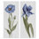 "Blue Poppy and Iris Flowers", ensemble de 2 toiles d'art par Elizabeth Medley