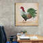 «Rooster-g» par Jean Plout, art mural sur toile-341995436