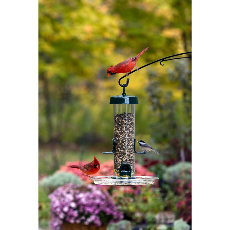 Brome Tube Solution Wild Bird Feeder, 2.6-Pound Seed Capacity, Clear