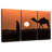Man And Camel Silhouette-1106567670