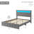 Bed Frame With LED Lights Headboard, Fast-Charging USB Port-1142682476-1142682467