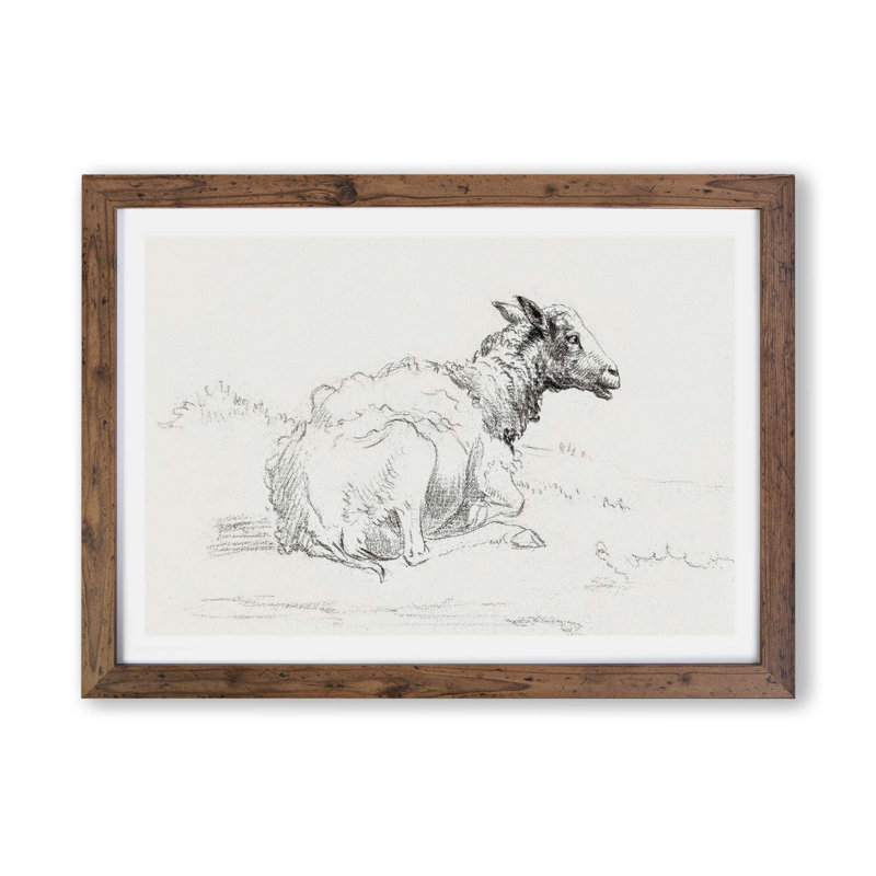 A Lying Sheep by Jean Bernard - Single Picture Frame Print, Walnut, 33cm H x 45cm W x 2cm D