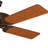 Hunter Original 52" 4 or 5 - Blade Outdoor / Indoor Traditional Ceiling Fan with Pull Chain-15934717