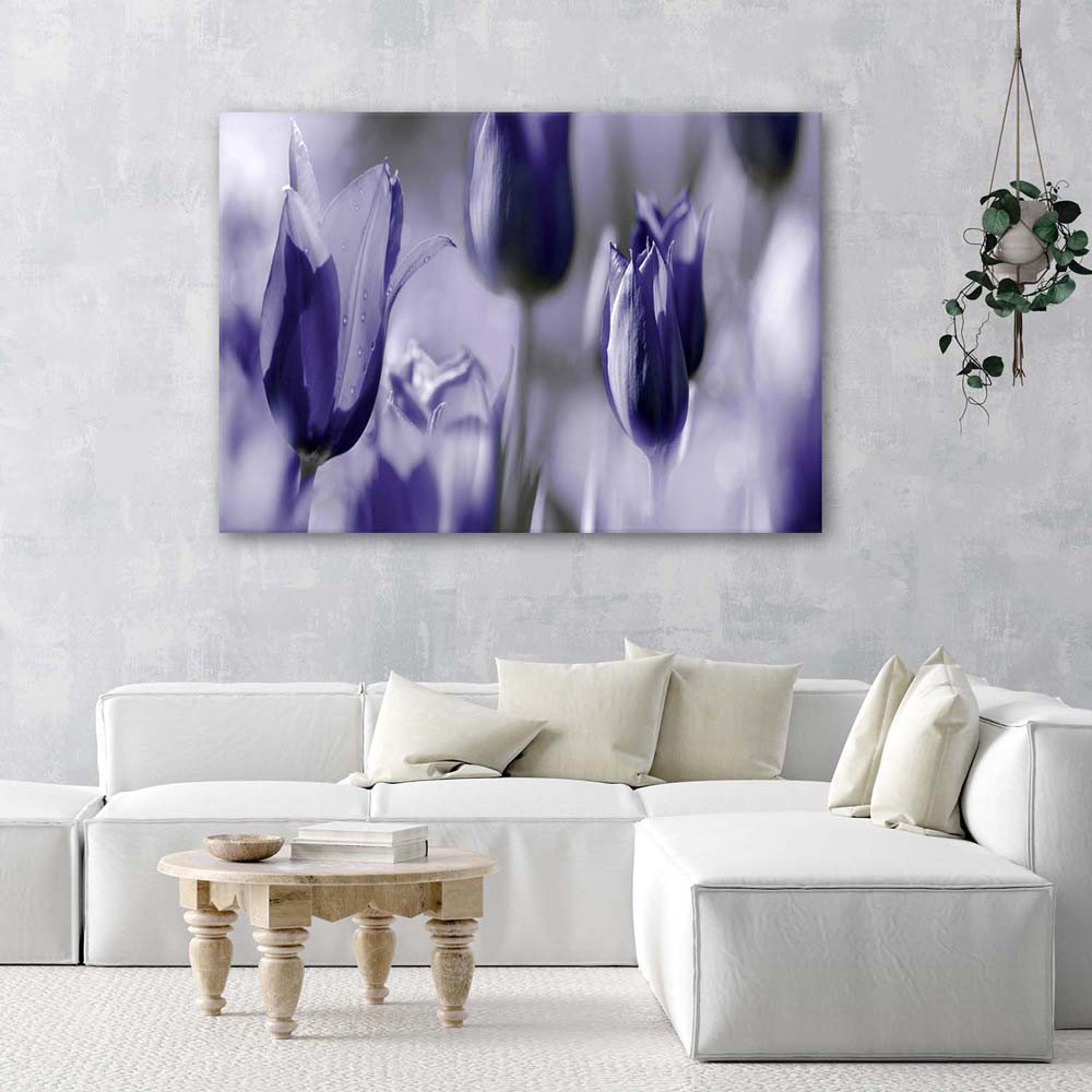 Leinwandbild Tulip Flower Purple