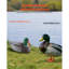 Canard flottant réaliste en plastique Duck Decoy