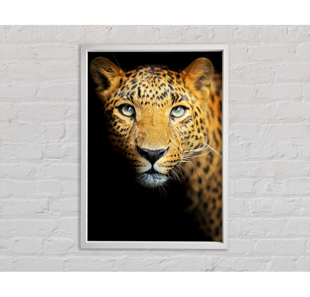 Leopard Beauty - Druck