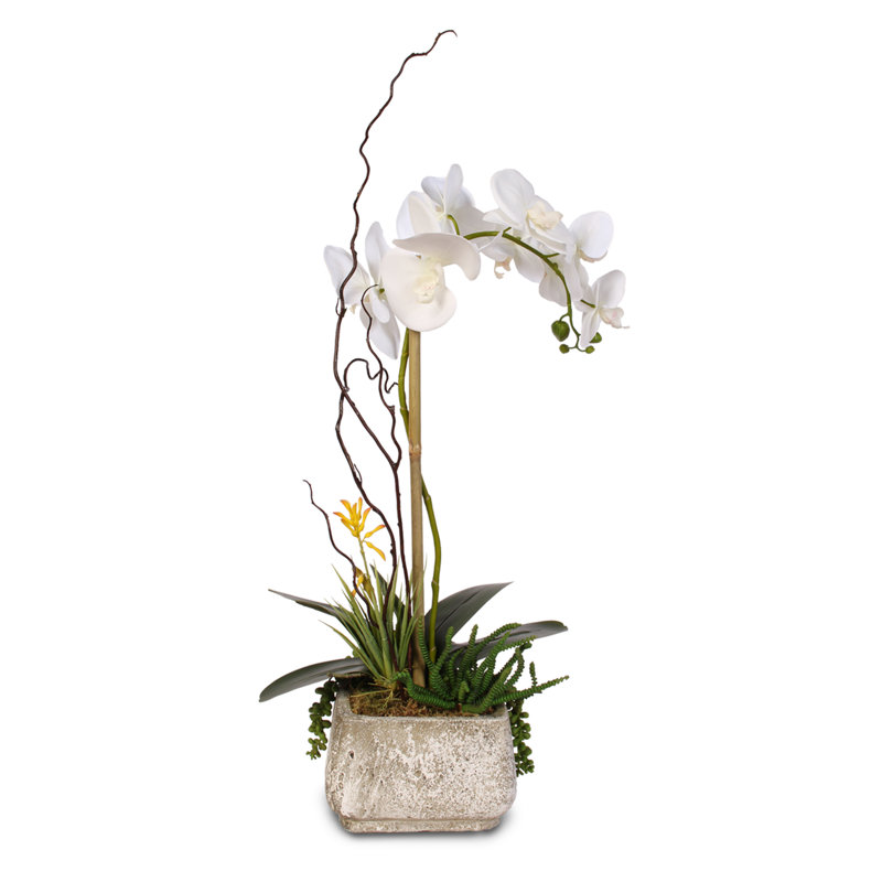 Silk Orchid Arrangement in Pot
