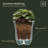 Nadija Pot Planter-14002345