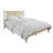 Paitynn Platform Bed-1002614370-1002614396